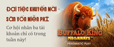 Trải nghiệm casino trực tuyến tại Yep Casino